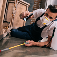 rugx-pest control